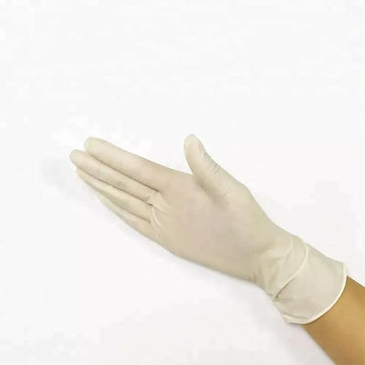 luva pulverizada estéril do exame do látex da mão da segurança das luvas cirúrgicas do látex 6ml
