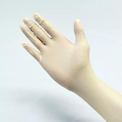 luva pulverizada estéril do exame do látex da mão da segurança das luvas cirúrgicas do látex 6ml
