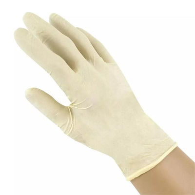 luva pulverizada estéril do exame do látex da mão da segurança das luvas cirúrgicas do látex 6ml