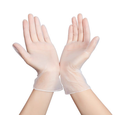 Luvas descartáveis livres L XL do vinil do PVC do pó para o exame médico