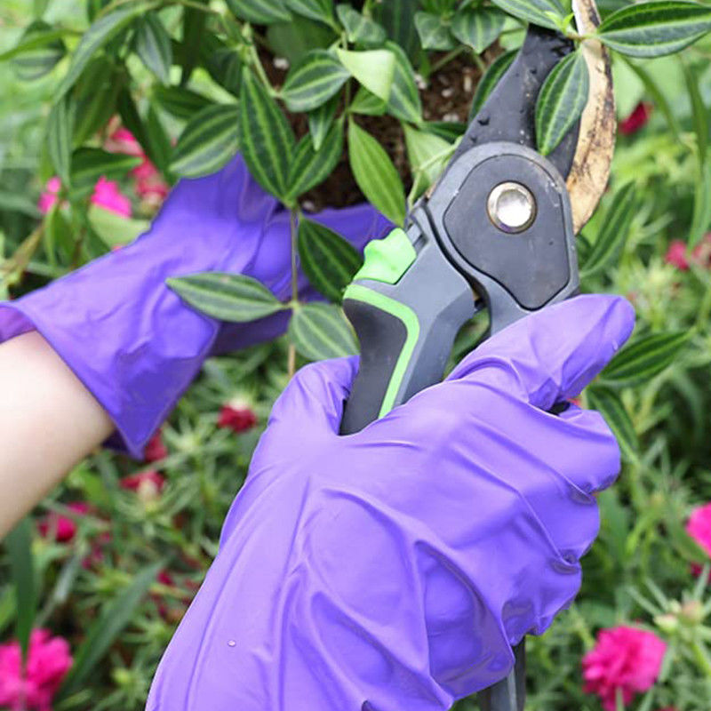 Impermeável livre do pó de borracha longo de Mil Medical Nitrile Gloves Large do roxo 5